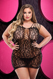 Lap Dance Leopard Lace Mini Dress